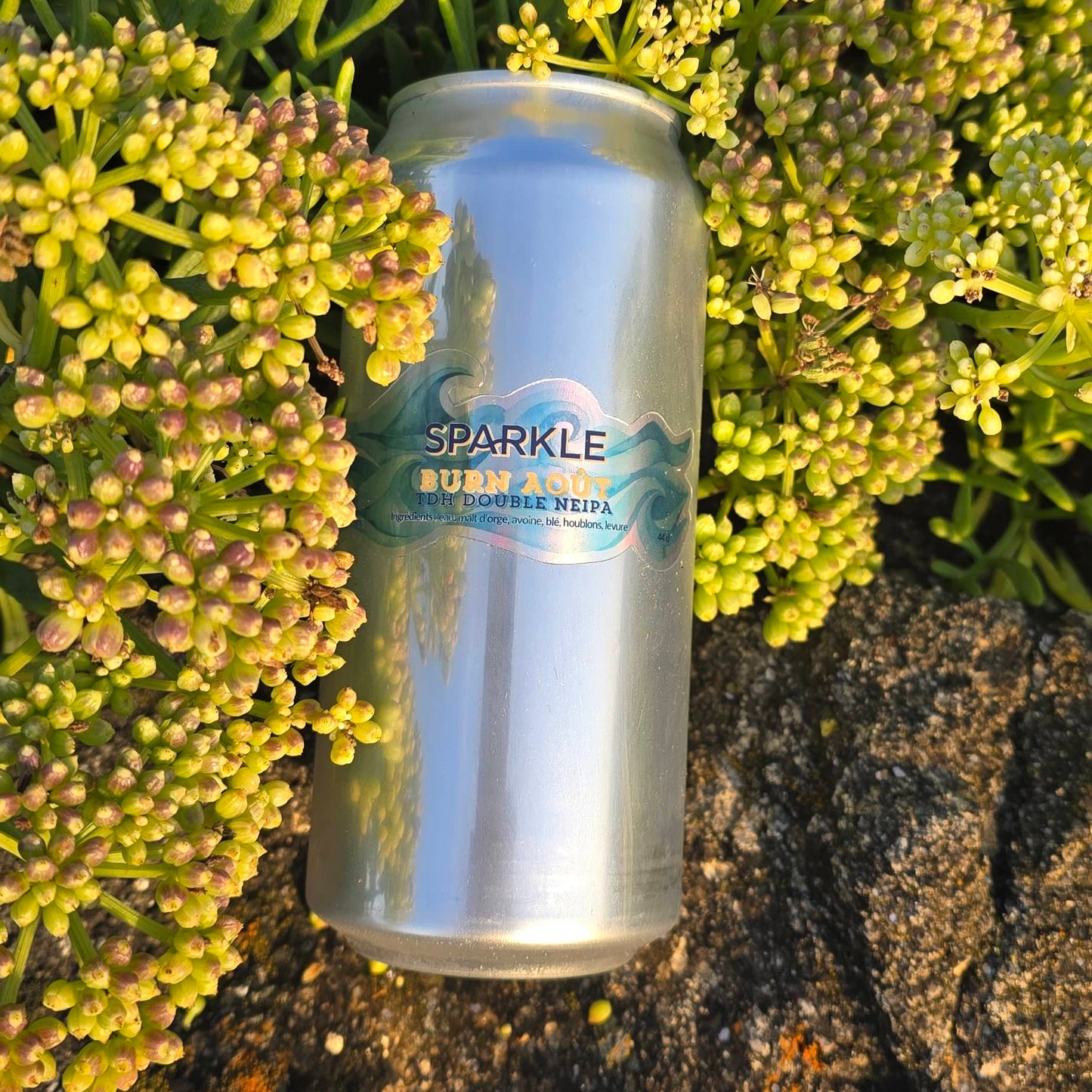 Burn Août - TDH Double NEIPA 8%