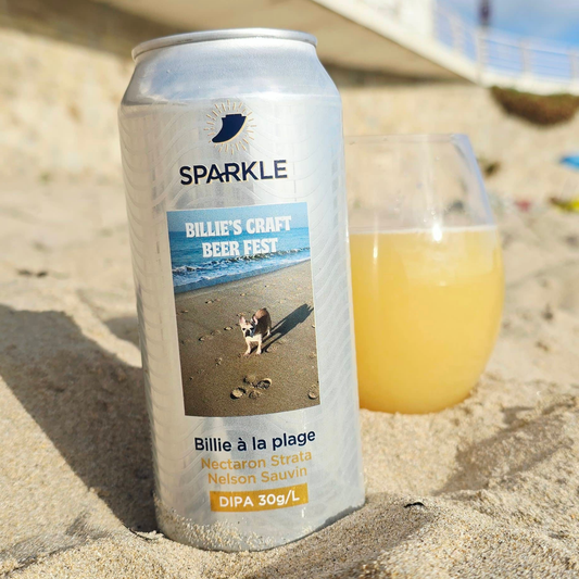 Billie à la plage - Double NEIPA 8%